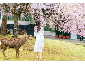 プランの魅力 奈良公園 の画像