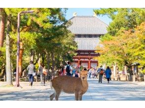 プランの魅力 東大寺 の画像