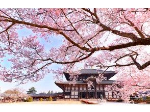 プランの魅力 东大寺 の画像