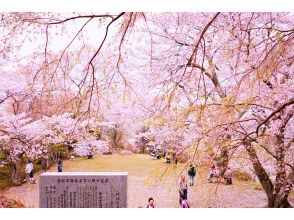 プランの魅力 吉野山でのお花見 の画像