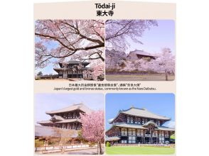 プランの魅力 東大寺 の画像