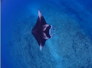 プランの魅力 石垣島といえば、 の画像