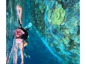 プランの魅力 Let's go see the overflowing coral ^_^ の画像