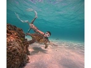 プランの魅力 Let's swim with sea turtles ^_^! の画像