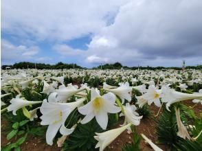 プランの魅力 リリーフィールド の画像