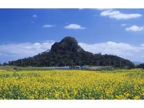 プランの魅力 タッチュー/城山 の画像