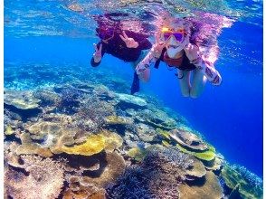 プランの魅力 かわいい器材取り揃えています♪ の画像