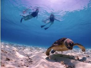 プランの魅力 八重干瀬まで最短・池間島から出航！ の画像