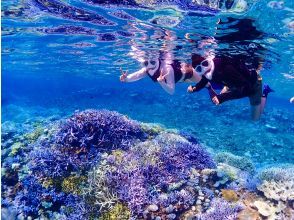 プランの魅力 八重干瀬まで最短・池間島から出航！ の画像