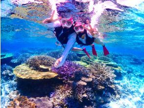 プランの魅力 日本が誇る最大級のサンゴ礁！ の画像