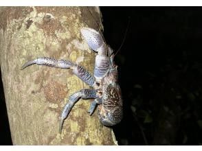 プランの魅力 ★沢山の生物に出会える★ の画像