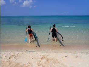 プランの魅力 美しい珊瑚礁の海へエントリー の画像