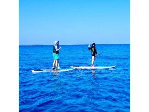 プランの魅力 SUPクルージング の画像