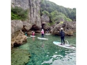 プランの魅力 大冒険 の画像