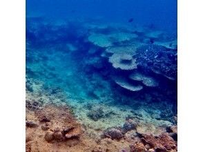 プランの魅力 Deepな場所 の画像