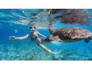 プランの魅力 与绿海龟的合影 の画像