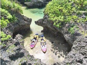 プランの魅力 去一個我不想告訴任何人的秘密地方！ の画像