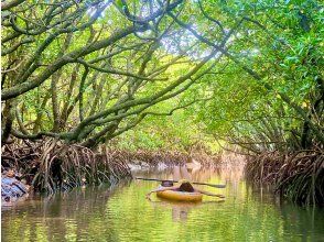 プランの魅力 เล่น SUP ในป่าชายเลนกึ่งเขตร้อน อนุสรณ์สถานทางธรรมชาติของเกาะอิชิงากิ! - - - の画像