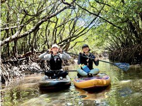プランの魅力 在石垣島的天然紀念物－亞熱帶紅樹林中體驗 SUP！ ！ ！ ！ の画像