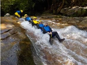 プランの魅力 みんな大好きワイドスライダー の画像