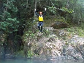 プランの魅力 川遊びの定番飛び込みチャレンジ の画像