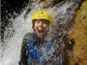 プランの魅力 滝修行 の画像