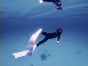 プランの魅力 最後一張照片是用 Longfin 拍攝的。 の画像