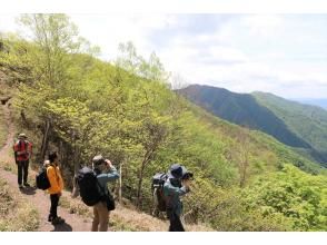 プランの魅力 新緑の森 の画像