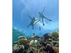 プランの魅力 ◆シュノーケルがはじめての方や泳げない方も安心◆ の画像
