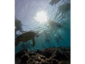 プランの魅力 思い出になる無料写真データプレゼント!! の画像