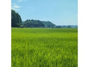 プランの魅力 田園デート 農園デートにも の画像