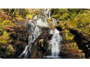 プランの魅力 秘境に眠る大迫力の滝 の画像