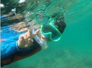プランの魅力 一組限定プライベートツアーでシュノーケル の画像