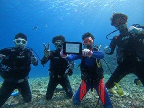 プランの魅力 ダイビングの様子 の画像