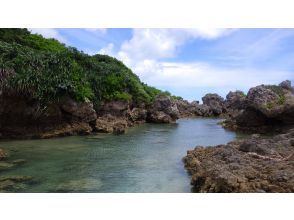 プランの魅力 探索荒岛！ の画像