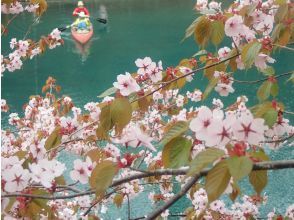 プランの魅力 四季折々の季節感も味わおう の画像