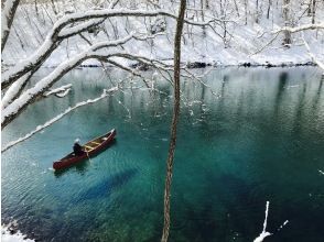 プランの魅力 積雪時の静けさ。 の画像