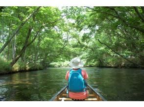 プランの魅力 緑の回廊 の画像