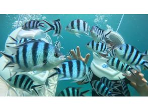 プランの魅力 在 Sea Walk 拍攝 の画像