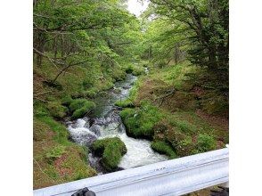 プランの魅力 Beauty of nature の画像