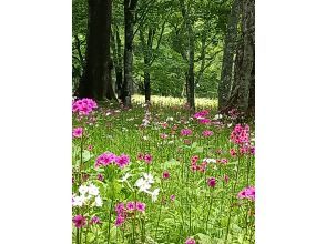 プランの魅力 Enjoy the natural beauty of each season の画像