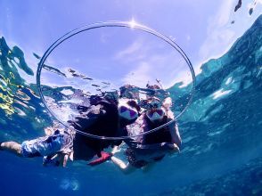 プランの魅力 水中写真の無料プレゼント! の画像