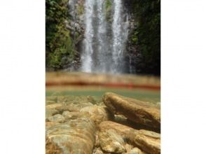 プランの魅力 泰山繩 の画像