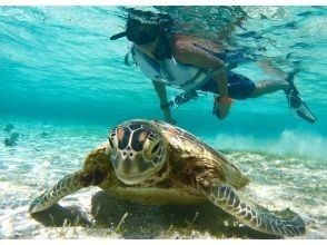 プランの魅力 所有照片数据均免费！ の画像