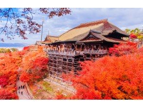 プランの魅力 วัดคิโยมิซุเดระ (ฤดูใบไม้ร่วง) の画像