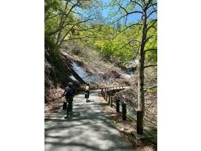 プランの魅力 A refreshing bike ride along a green road with sunlight filtering through the trees の画像