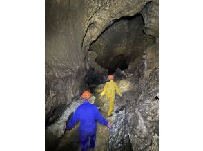 プランの魅力 A variety of experiences that will inspire your sense of exploration! の画像