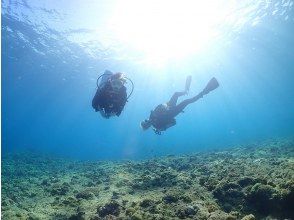 プランの魅力 キラキラの海♪ の画像