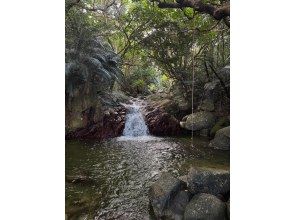 プランの魅力 滝 の画像