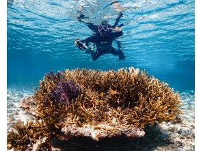 プランの魅力 経験豊富なガイド♪ の画像